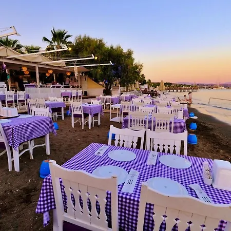 Herodot Hotel Ortakent