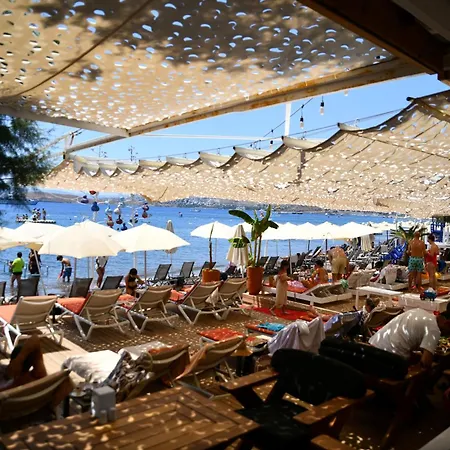 Myella Boutique 오르타켄트